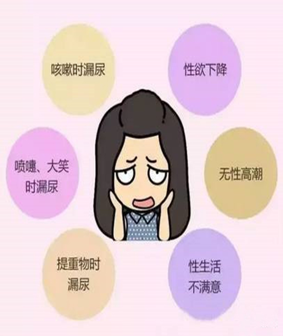   îaĿ-׼ޏ